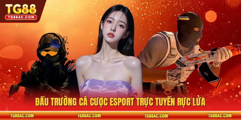 Đấu trường cá cược esport trực tuyến rực lửa